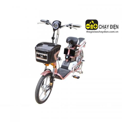 Xe đạp điện Đào Khôi DKbike Emmy