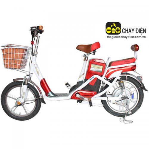 Xe đạp điện Đào khôi Dkbike Hikaru