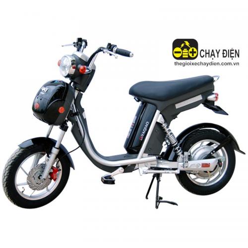 Xe đạp điện Dk Bike DYQ