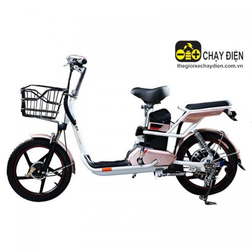 Xe đạp điện DTP Zip Bike