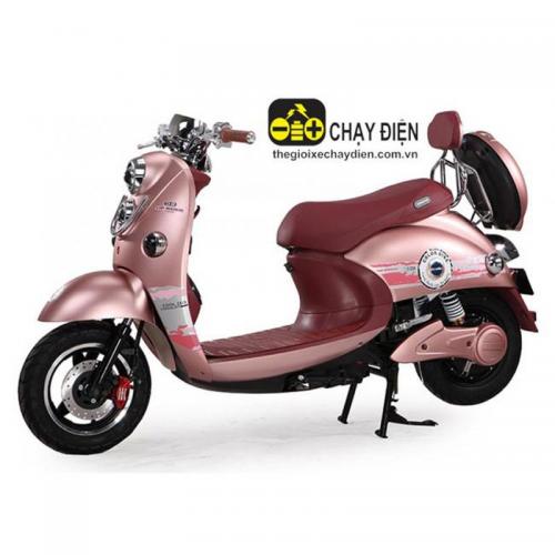 Xe máy điện Dibao Vip Rider