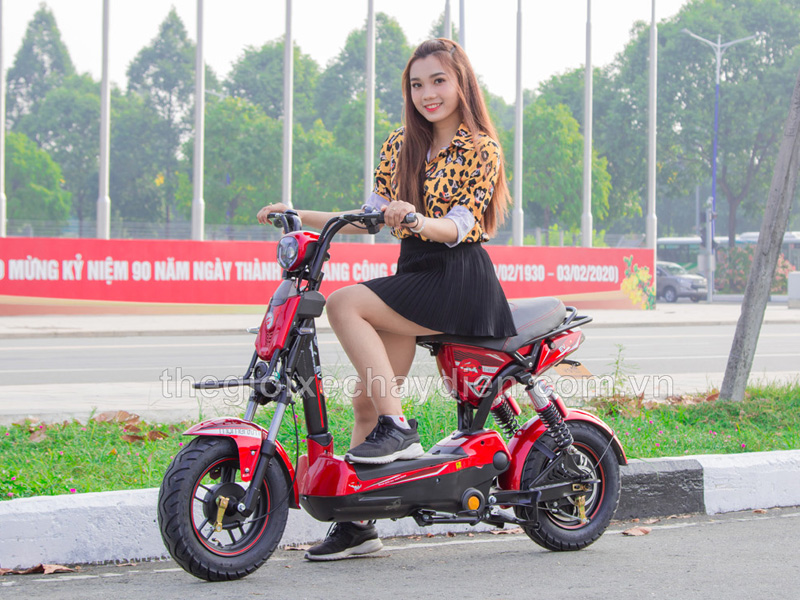 Khỏe khoắn, mạnh mẽ với xe đạp điện EV S8 và EV S8 Plus Đèn Độ
