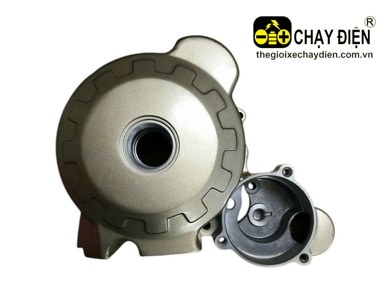 Lóc máy xe 3 bánh chở hàng