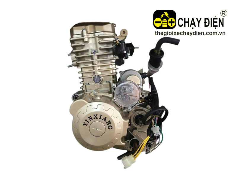 Máy, động cơ Yinxiang 300cc xe 3 bánh