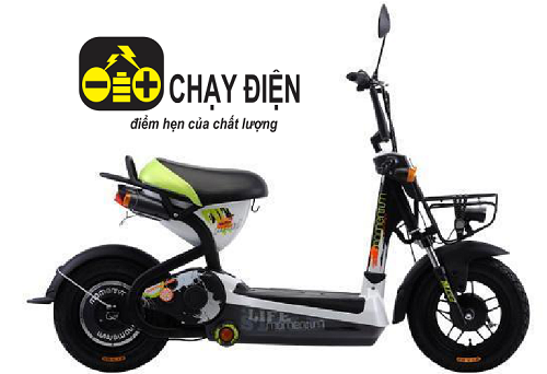 Mua Xe Đạp Điện Cũ Tại Quận 6