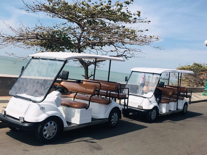 Nhìn lại năm 2020 đầy thử thách của thị trường xe 3 bánh và ô tô điện