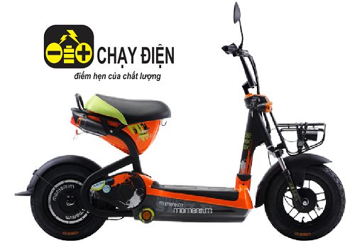 Những điều cần biết khi mua xe đạp điện ở Biên Hòa