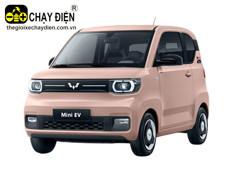 Ô tô điện Wuling Mini EV LV2 - 170