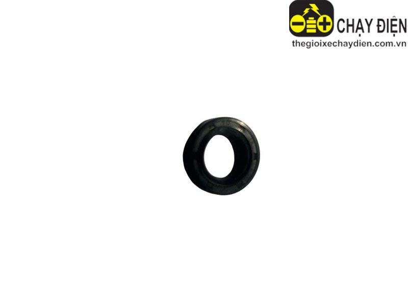 Phớt làm kín động cơ xe điện 15-25-5