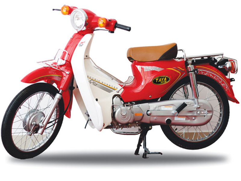 Phụ tùng xe Cub Taya tại Bình Định
