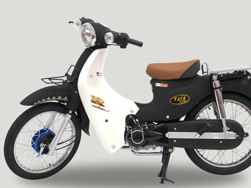 Phụ tùng xe Cub Taya tại Nam Định 