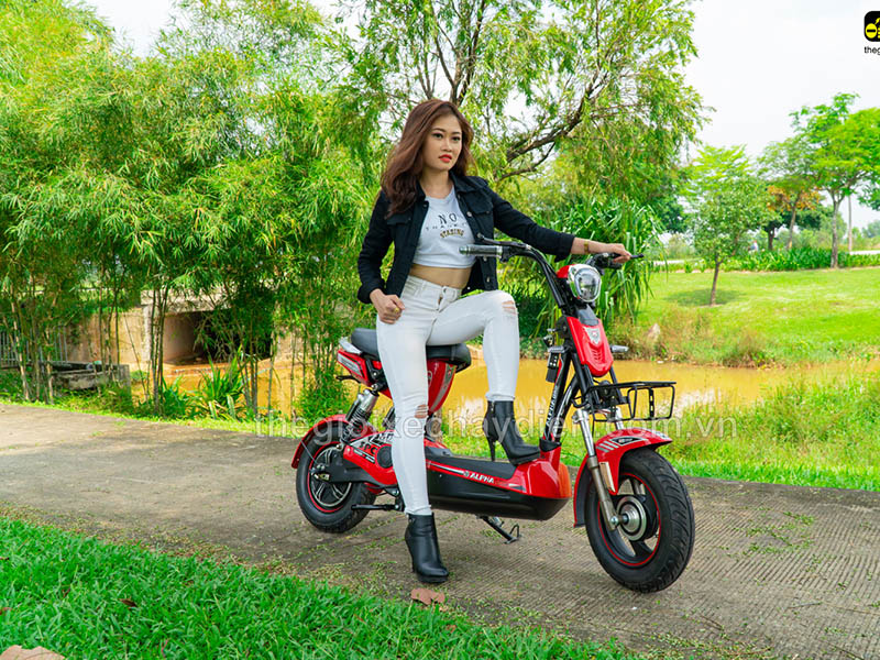 Phụ tùng xe đạp điện Alpha Bắc Ninh