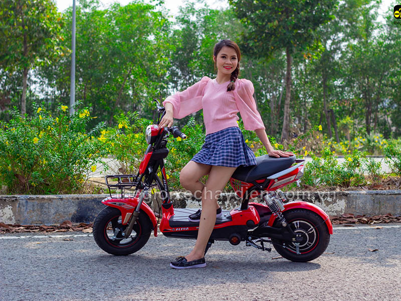 Phụ tùng xe đạp điện Alpha Quảng Ngãi