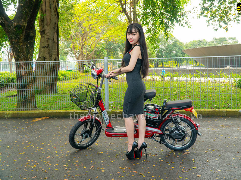 Phụ tùng xe đạp điện Alpha Sài Gòn