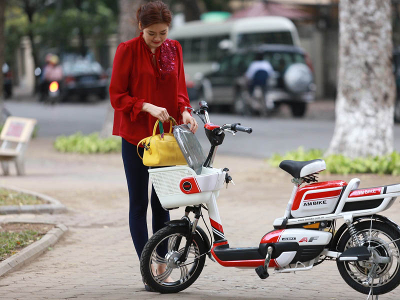 Phụ tùng xe đạp điện Ambike Sơn La 