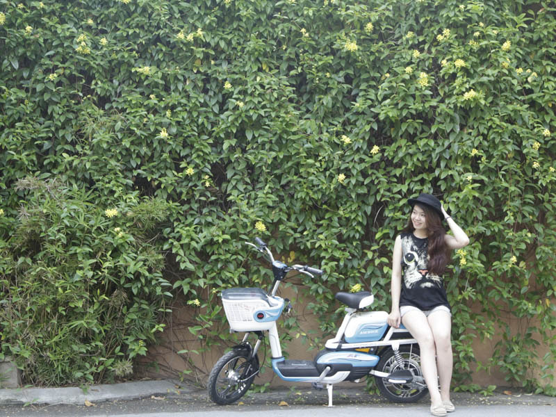 Phụ tùng xe đạp điện Ambike Tây Hồ