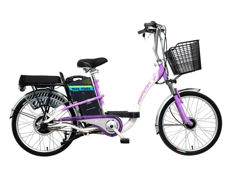 Phụ tùng xe đạp điện Asama Tây Ninh
