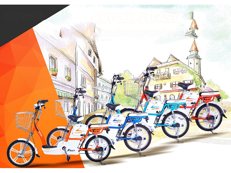 Phụ tùng xe đạp điện Autobike Bình Thuận 