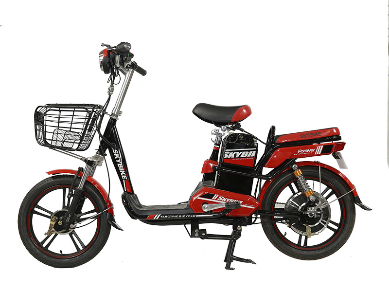 Phụ tùng xe đạp điện DTP Gò Găng