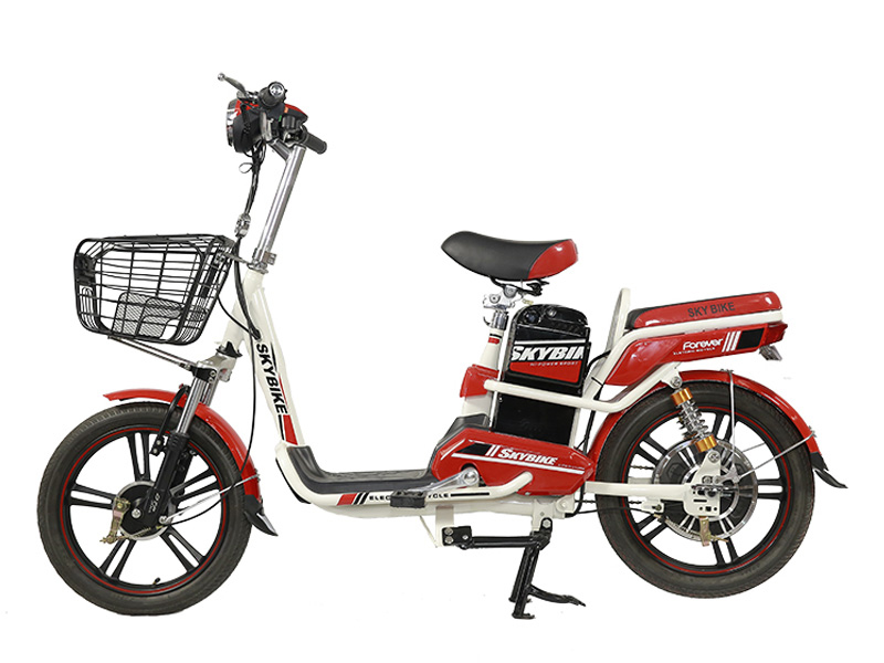 Phụ tùng xe đạp điện DTP Lai Châu