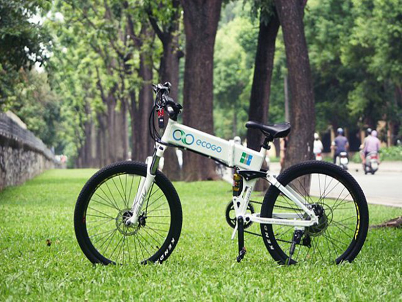 Phụ tùng xe đạp điện Ecogo Đà Nẵng