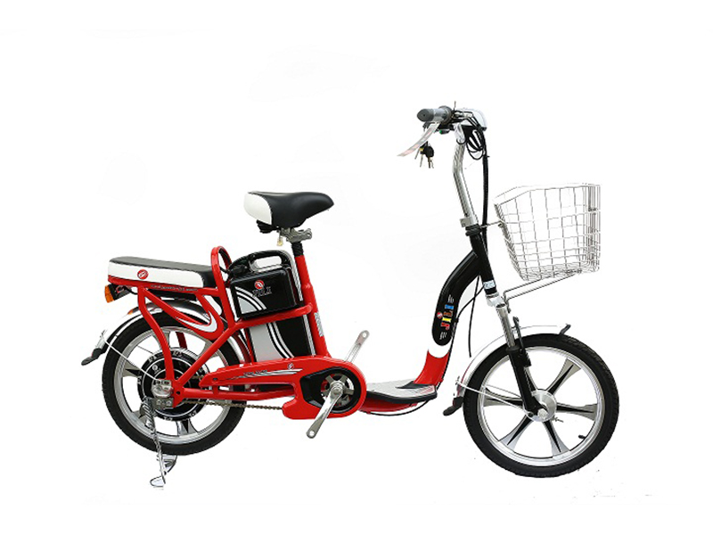 Phụ tùng xe đạp điện Fuji Cao Bằng
