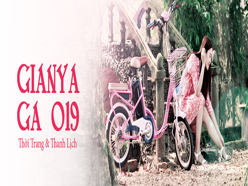 Phụ tùng xe đạp điện Gianya Thái Nguyên