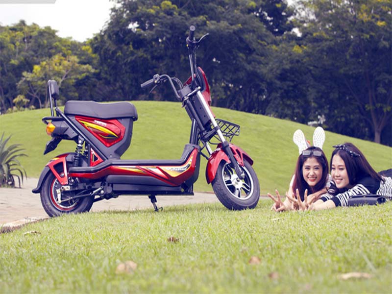 Phụ tùng xe đạp điện hãng Anbico