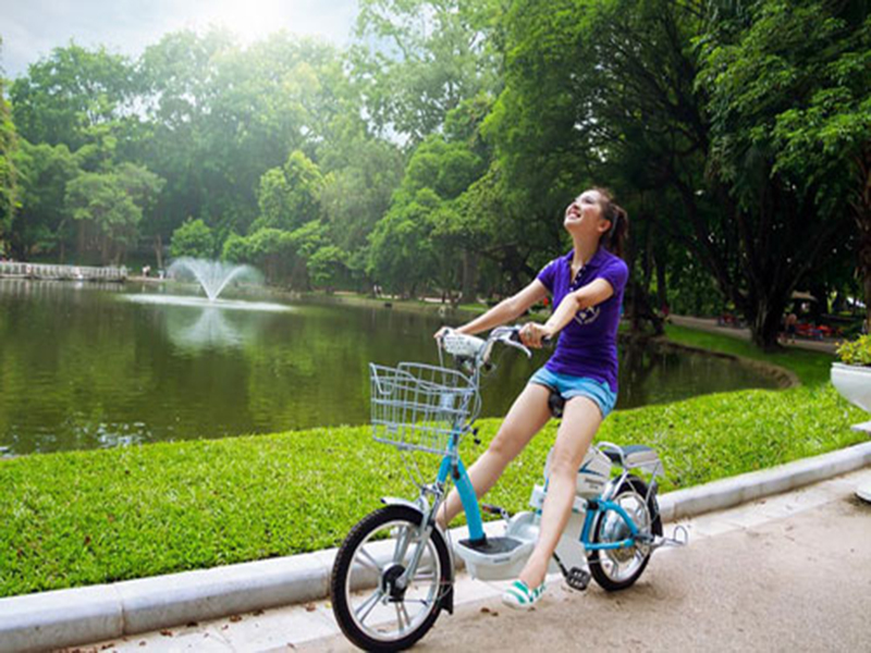 Phụ tùng xe đạp điện hãng Bridgestone