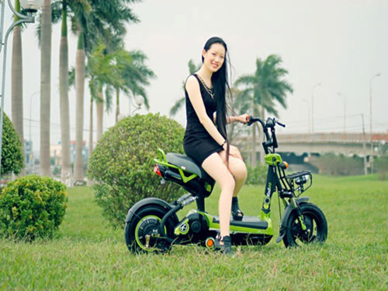 Phụ tùng xe đạp điện hãng Giant