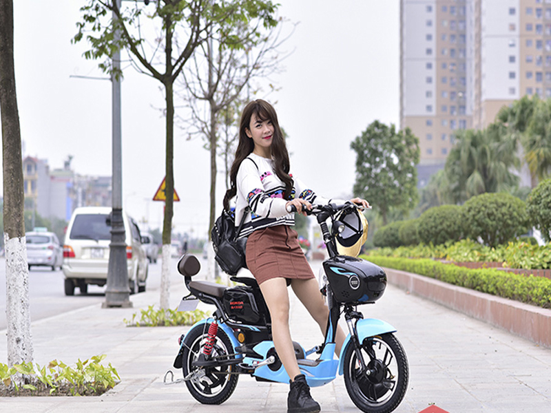 Phụ tùng xe đạp điện Honda Hậu Giang 