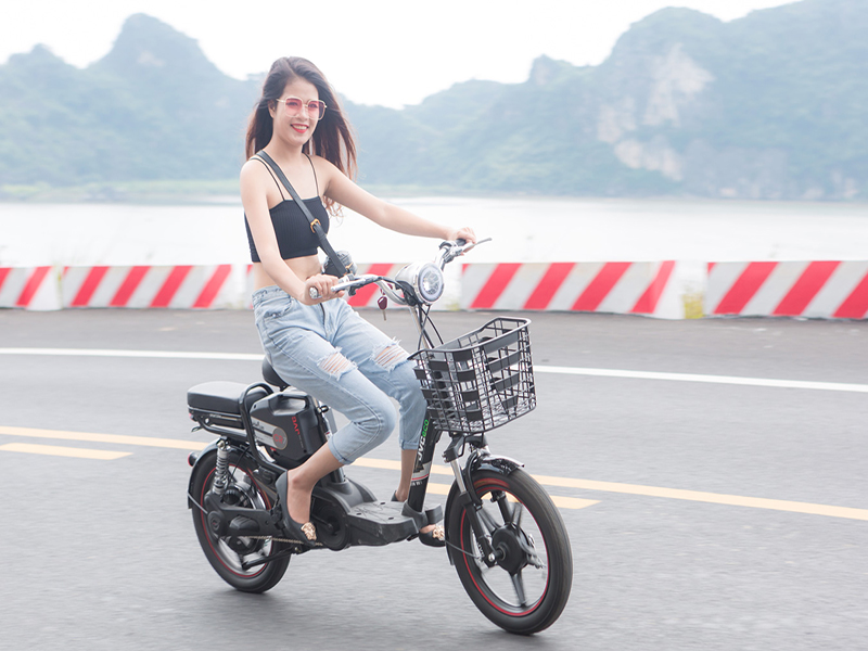 Phụ tùng xe đạp điện JVC eco Bắc Kạn