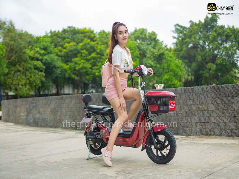 Phụ tùng xe đạp điện Lixi Sơn La