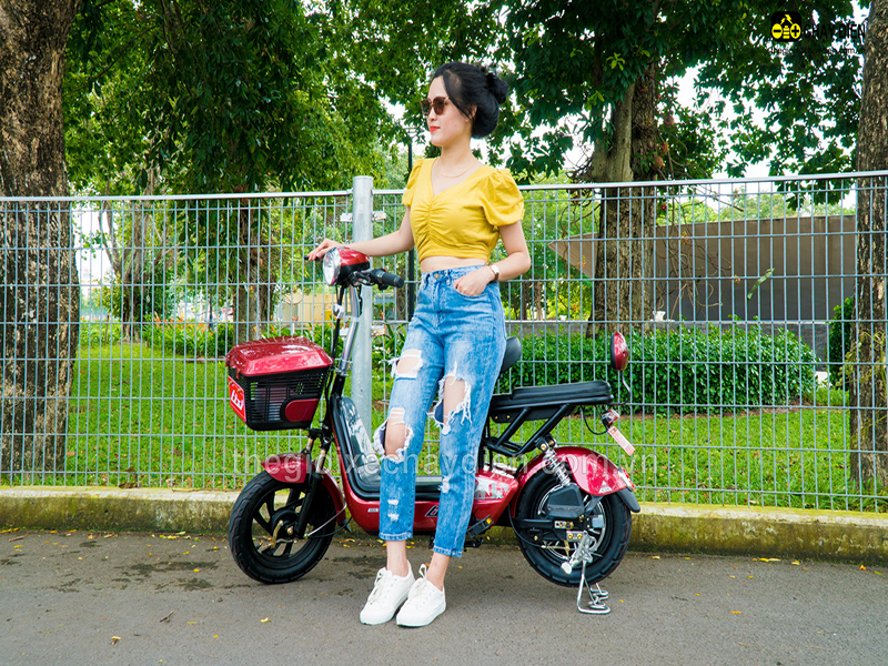 Phụ tùng xe đạp điện Lixi Yên Bái