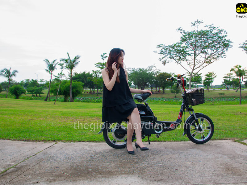 Phụ tùng xe đạp điện Nijia Sài Gòn