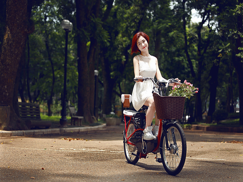 Phụ tùng xe đạp điện Nishiki Quảng Ninh