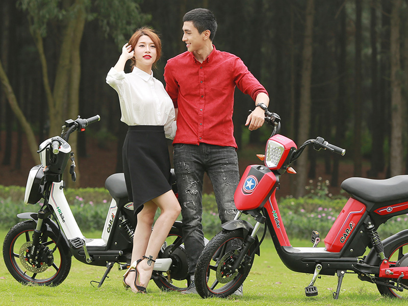 Phụ tùng xe đạp điện Pega Đống Đa