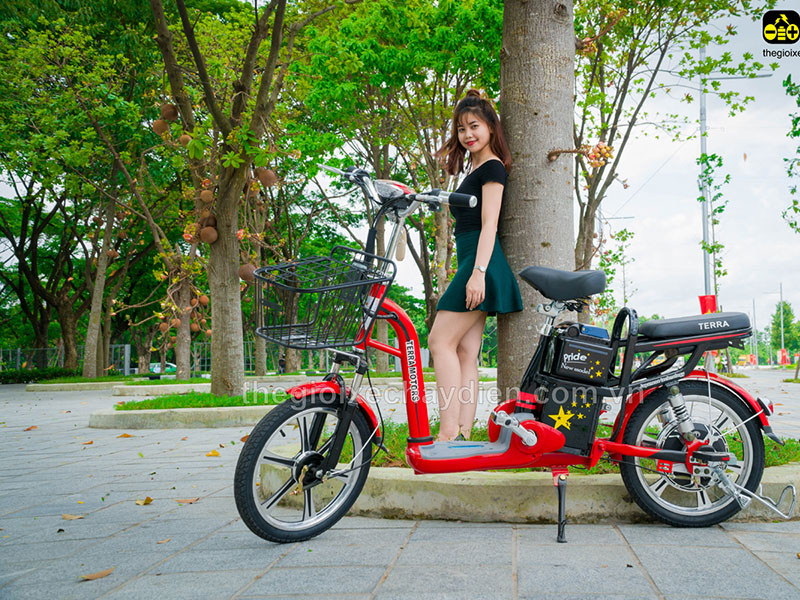 Phụ tùng xe đạp điện Terra Motors An Giang