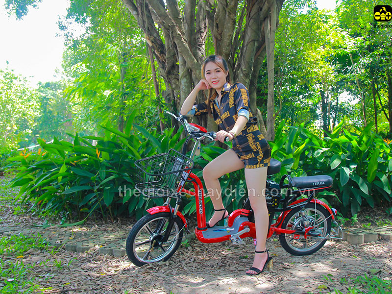 Phụ tùng xe đạp điện Terra Motors Hậu Giang