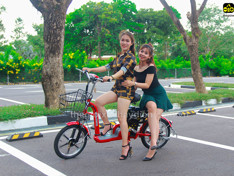 Phụ tùng xe đạp điện Terra Motors Kiên Giang