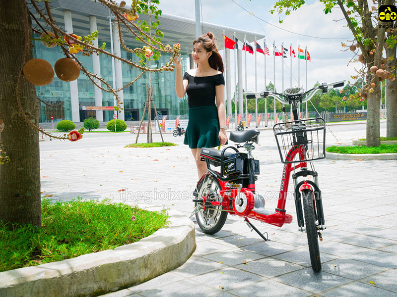 Phụ tùng xe đạp điện Terra Motors Lào Cai