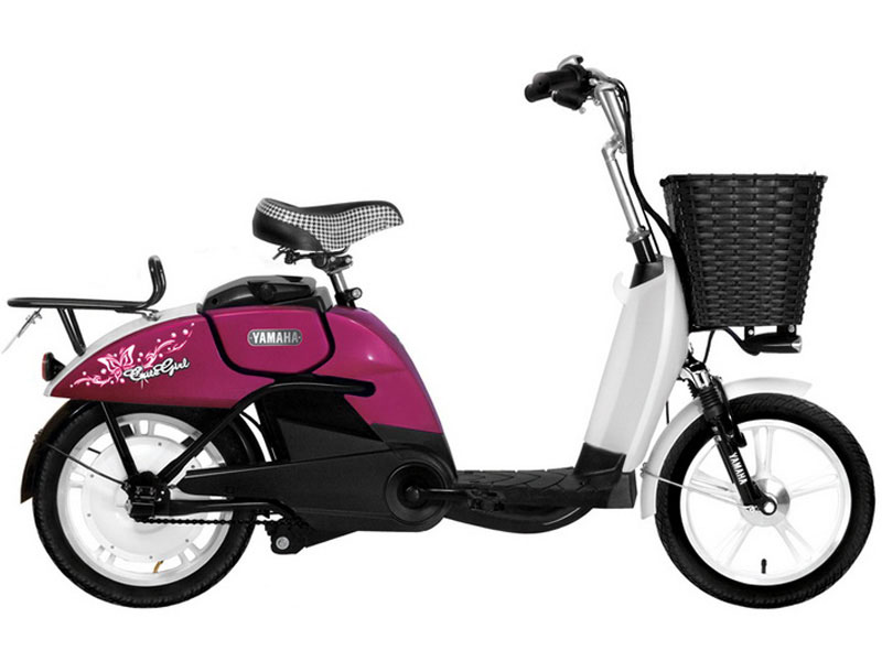Phụ tùng xe đạp điện Yamaha Bắc Giang