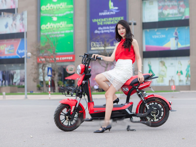 Phụ tùng xe máy điện Dibao 133SS
