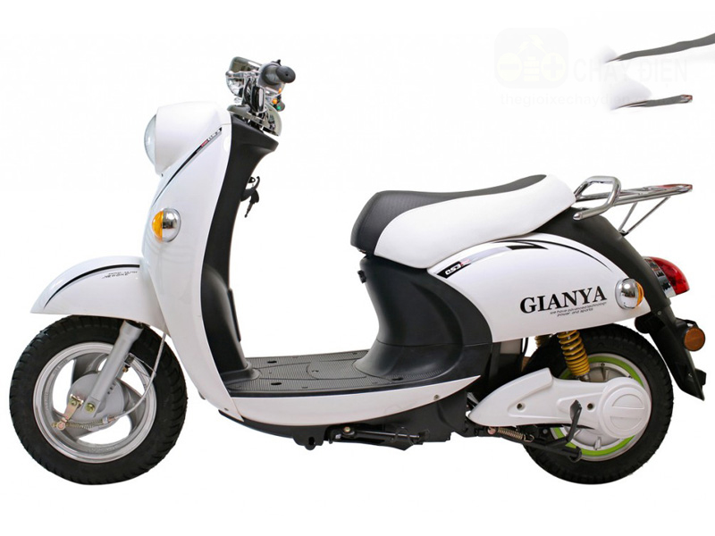 Phụ tùng xe máy điện Gianya GA 010