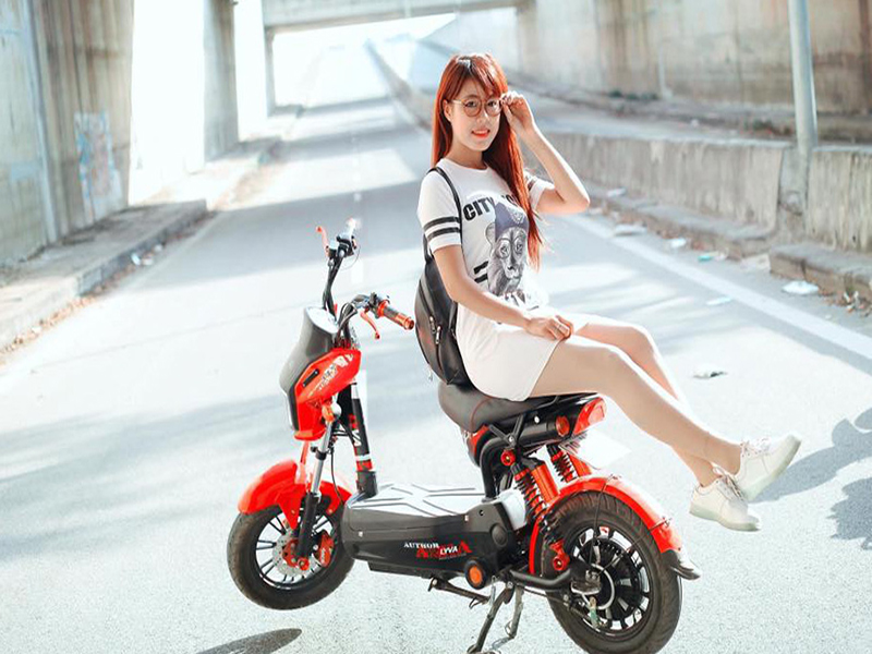 Phụ tùng xe máy điện Lyva FCS