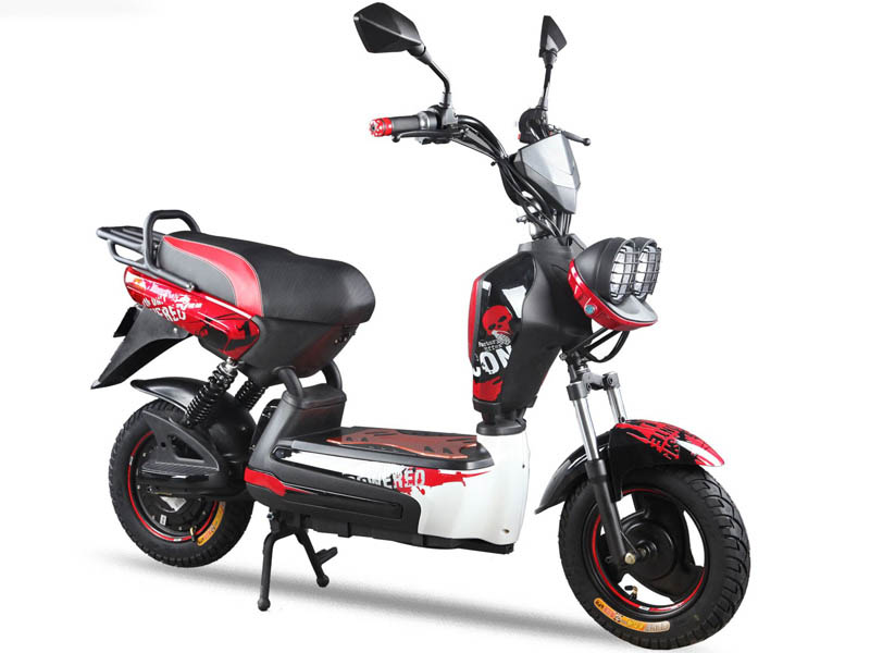 Phụ tùng xe máy điện YD-EM25