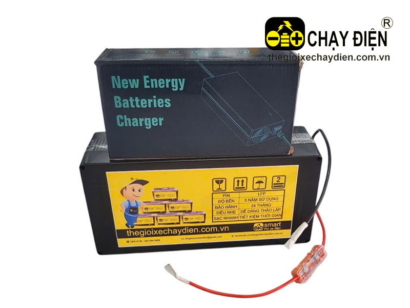 Pin LFP xe điện Smart 48V 20Ah