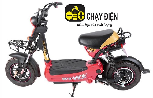 Sửa xe đạp điện quận Tân Bình.