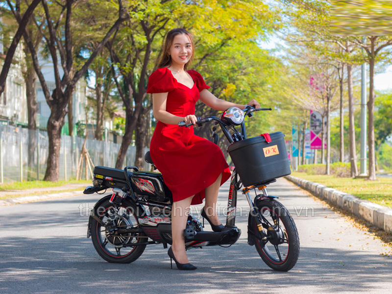 Tại sao xe đạp điện thương hiệu Vnbike lại bán đắt đến vậy?