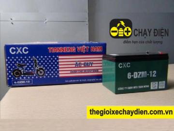 Ắc quy xe đạp điện CXC